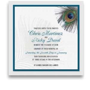  70 Square Wedding Invitations   Peacock Feather Office 