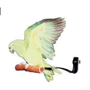  Pollys Pet Products Dancing Bird Perch Size Small Assorted 
