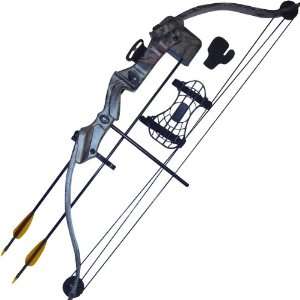  Arrow Precision Stag Compound Bow Set