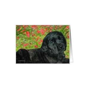  Brindle Mastiff puppy with red flowers Card Health 