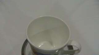 Corelle by Corningware SUMMER BLUSH Coffee Mug Tea Cup MINT  