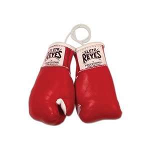  Cleto Reyes Cleto Reyes Mini Boxing Gloves: Sports 