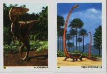 Dinocardz Dinosaurs Trading Cards 1992 Box 36 Packs 508  