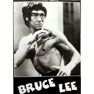 Bruce Lee Enter the Dragon 23x33 Poster