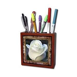  Susan Brown Designs Flowers Themes   Antique Rose Floral 