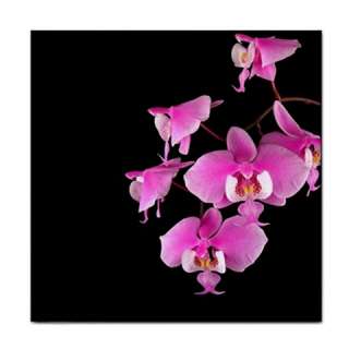 Pink Moth Orchids on Black Spring Flowers Ceramic Tile  