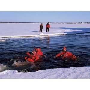 Swimmers from the Icebreaker Arctic Explorer, Gulf of Bothnia, Lapland 