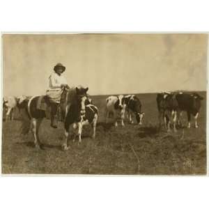 Photo Sarah Crutcher, 12 year old girl herding cattle. Route 4, c/o S 