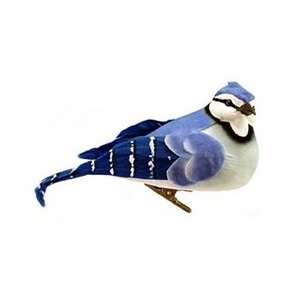  Blue Jay W/ Clip 5 Arts, Crafts & Sewing