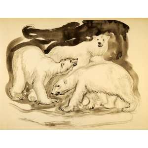  1944 Print Wildlife Art Ernst Denzler Polar Bears Play 