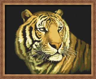 Tiger Paint By Number Kit 20x16 Oil Painting  